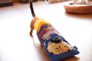 犬カフェ　ドッグテイルです(*^^*)